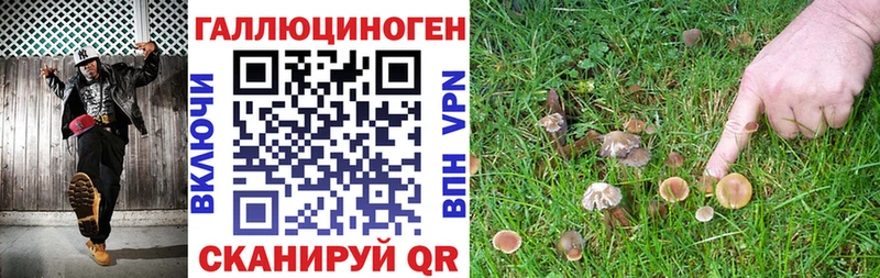Псилоцибиновые грибы прущие грибы  Володарск 